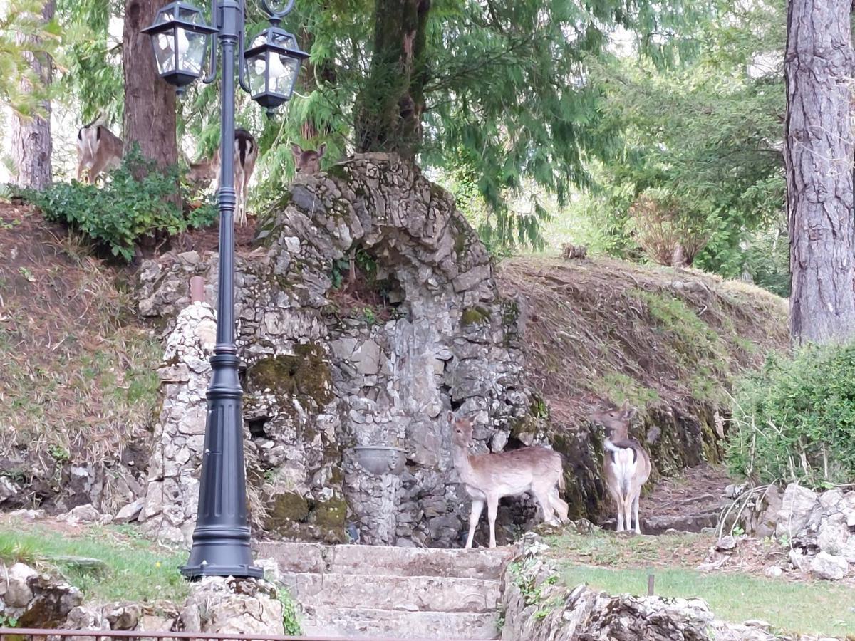 Villa Ghiron Torriglia 외부 사진